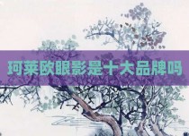 珂莱欧眼影是十大品牌吗