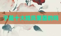 于是十大姓氏里面的吗