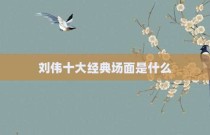 刘伟十大经典场面是什么