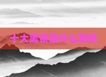 十大黑茶是什么茶种