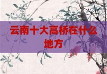 云南十大高桥在什么地方