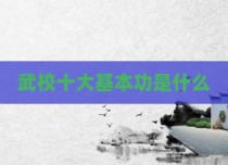 武校十大基本功是什么