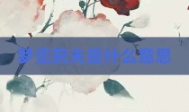 梦见前夫是什么意思