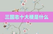 三国志十大梗是什么