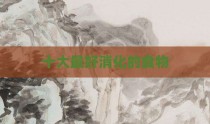 十大最好消化的食物