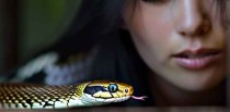 女人梦见蛇追着跑预示着什么
