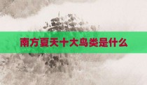 南方夏天十大鸟类是什么