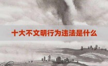 十大不文明行为违法是什么