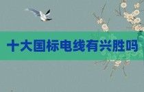 十大国标电线有兴胜吗