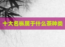 十大名枞属于什么茶种类