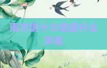 南方前十大姓是什么字辈