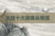 全球十大摄像头模组