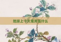 地球上十大鬼斧是什么