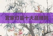 宜家灯是十大品牌吗