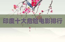 印度十大危险电影排行