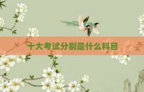 十大考试分别是什么科目