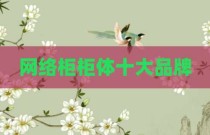 网络柜柜体十大品牌