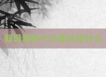 新导游的十大建议是什么