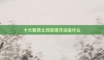 十大散养土鸡管理方法是什么