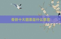 骨折十大因素是什么意思