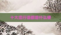 十大流行语都是什么梗