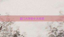 厦门大学的十大校草