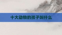 十大动物的孩子叫什么