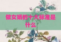 做女婿的十大标准是什么
