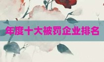 年度十大被罚企业排名