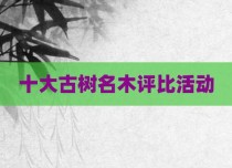 十大古树名木评比活动
