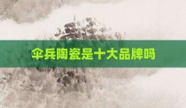 伞兵陶瓷是十大品牌吗