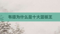韦德为什么是十大篮板王