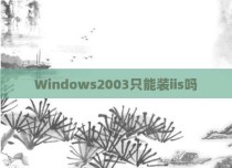 Windows2003只能装iis吗
