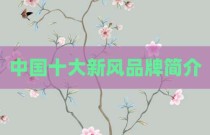 中国十大新风品牌简介
