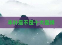 丰叶是不是十大品牌