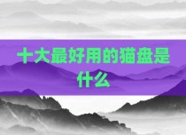 十大最好用的猫盘是什么