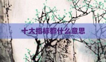 十大指标都什么意思