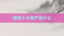 揭阳十大特产是什么