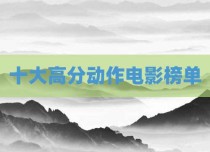 十大高分动作电影榜单