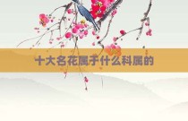 十大名花属于什么科属的
