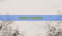 羽绒被十大品牌包包