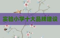 实验小学十大品牌建设