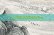 十大精致生活宝藏是什么