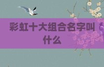 彩虹十大组合名字叫什么
