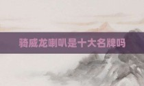 骑威龙喇叭是十大名牌吗