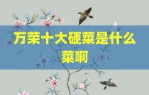 万荣十大硬菜是什么菜啊