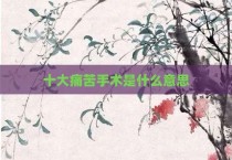 十大痛苦手术是什么意思