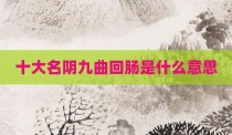 十大名阴九曲回肠是什么意思