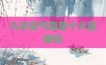 九沐空气能是十大品牌吗
