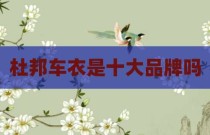 杜邦车衣是十大品牌吗